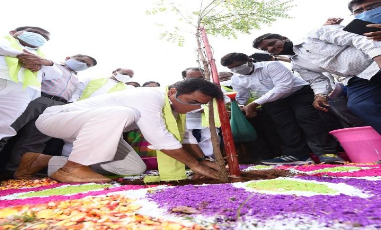 Telangana spent Rs 5,900 cr for Haritha Haram in 6 years