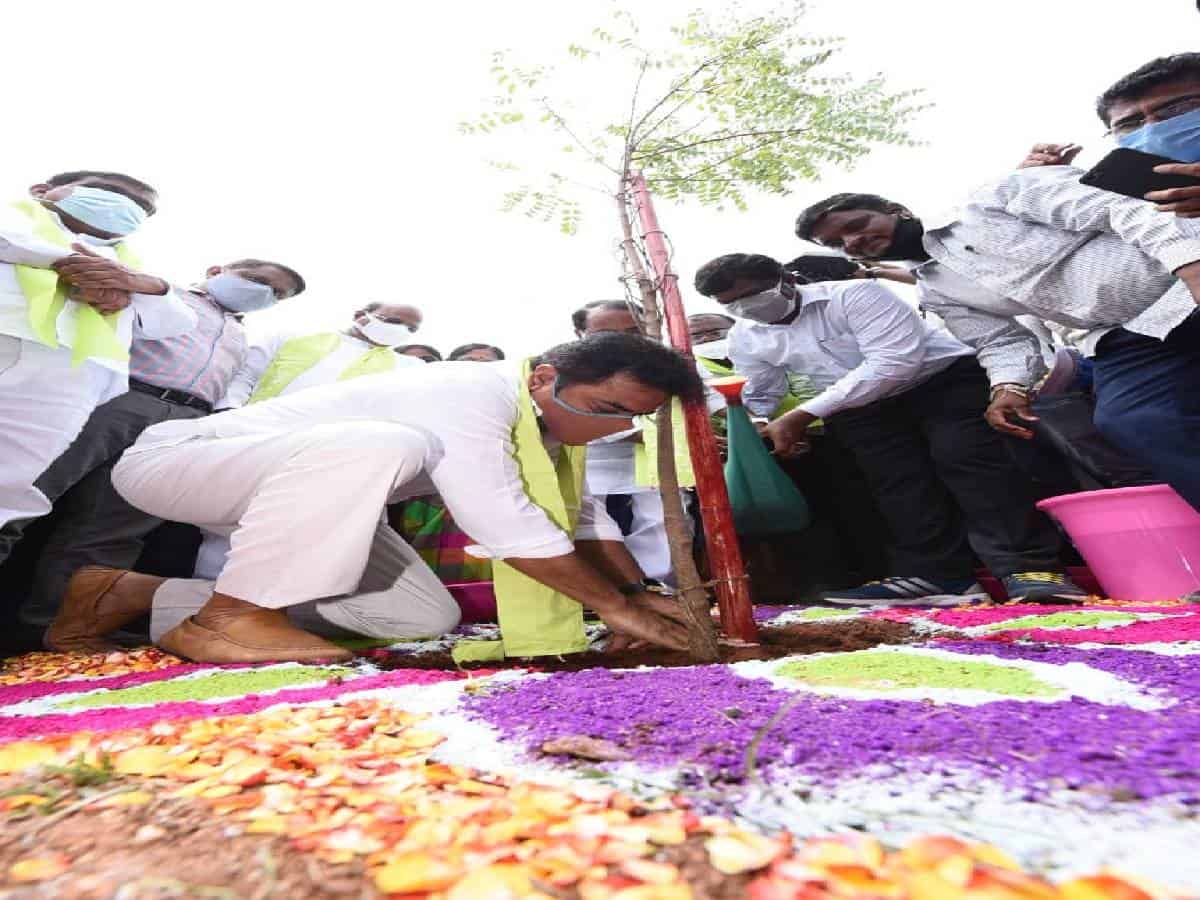 Telangana spent Rs 5,900 cr for Haritha Haram in 6 years