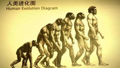 Latest China study sheds new light on human evolution
