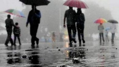 IMD issues Heavy to very heavy rain, thunderstorm till July 17 for Telangana