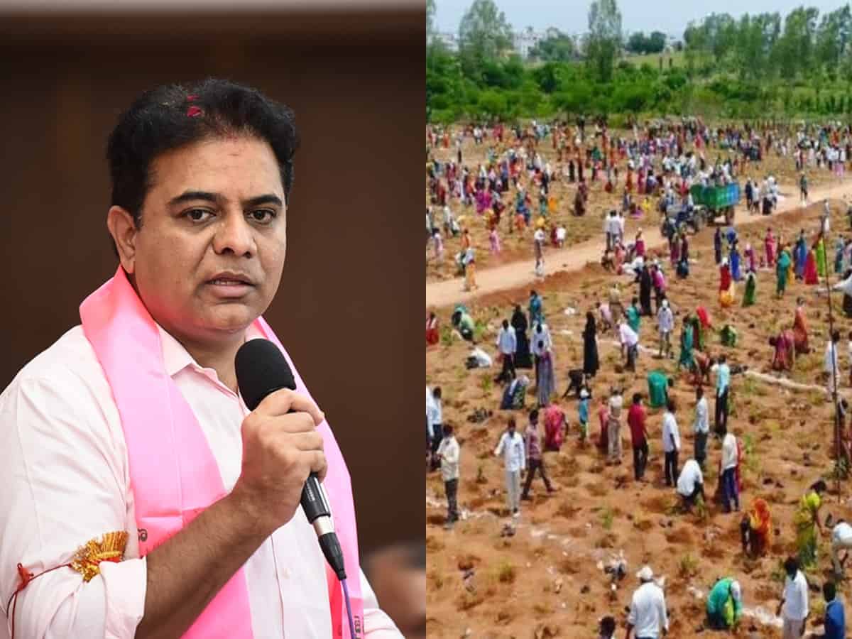 3 cr saplings to be planted on July 24 marking KTR's birthday