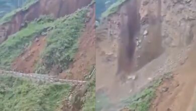 Entire mountain rolls down in Himachal, scary video goes viral