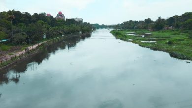 Rivers in Telangana-Complete list, తెలంగాణ - నదీ వ్యవస్థ |_100.1