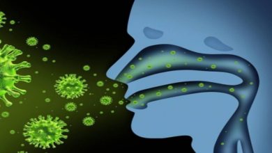 How our immune cells can be trained to fight infections