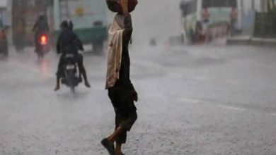 Telangana: Several low-lying areas face inundation as heavy rains lash state