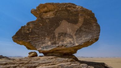 Saudi Arabia's Hima cultural site added to UNESCO world heritage list