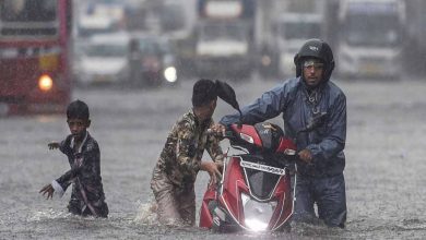 Widespread rainfall forecast in north India