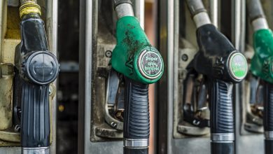 Petrol prices not coming down as states don't want it under GST: Petroleum Minister