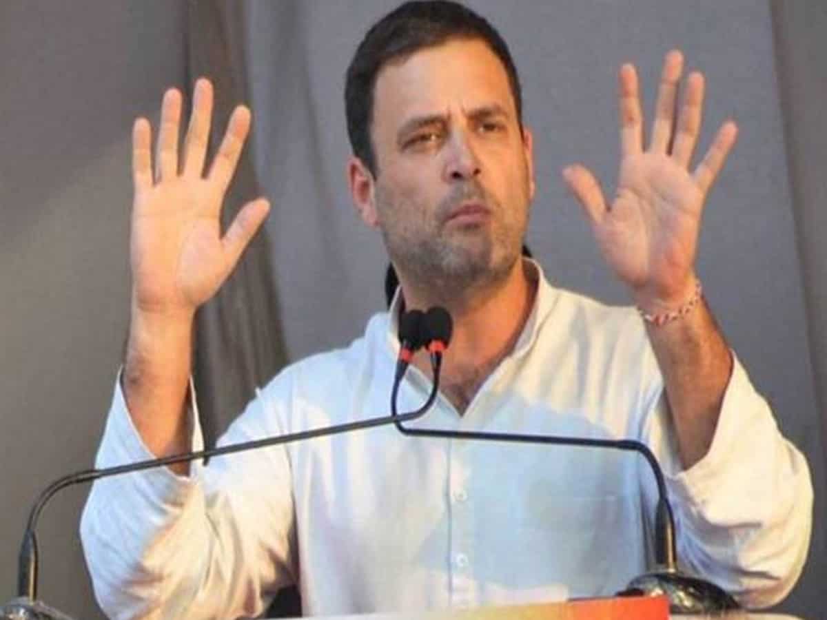 Rahul Gandhi President of the Indian National Congress