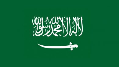 Saudi Arabia strongly reject UN resolution on 'sexual orientation'