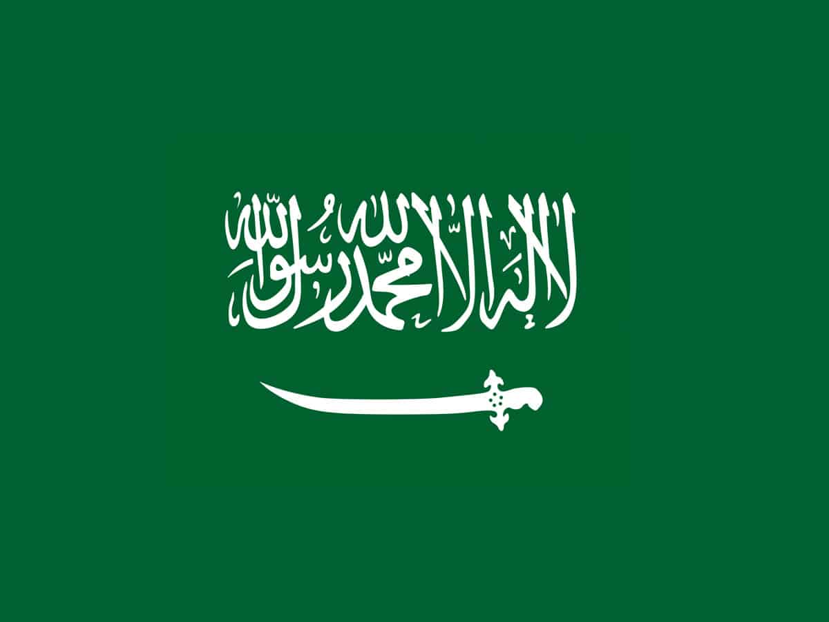 Saudi Arabia strongly reject UN resolution on 'sexual orientation'