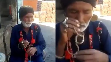 Viral: Man inserts snake into his nose, leaves netizens shocked