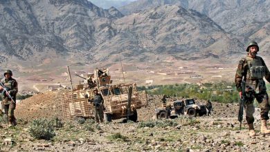 4 Afghan security personnel, 63 Taliban militants dead in recent violence