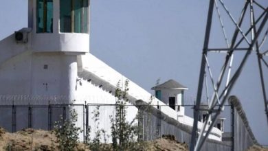 Uighur women face China's forced sterilisation campaign