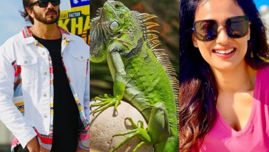 KKK 11: In a dangerous stunt, Rohit Shetty asks Shweta Tiwari to kiss Iguana [Video]