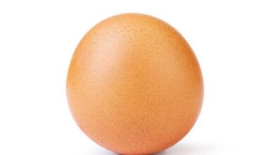 An egg is Instagram's most liked picture!