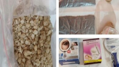 Bengaluru woman held with parcel of drugs from Germany