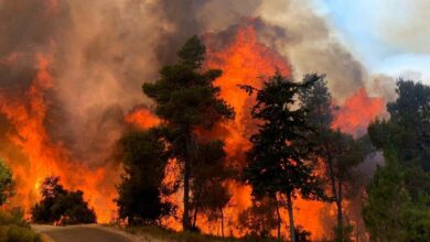 Thousands evacuated due to massive wildfire near Jerusalem