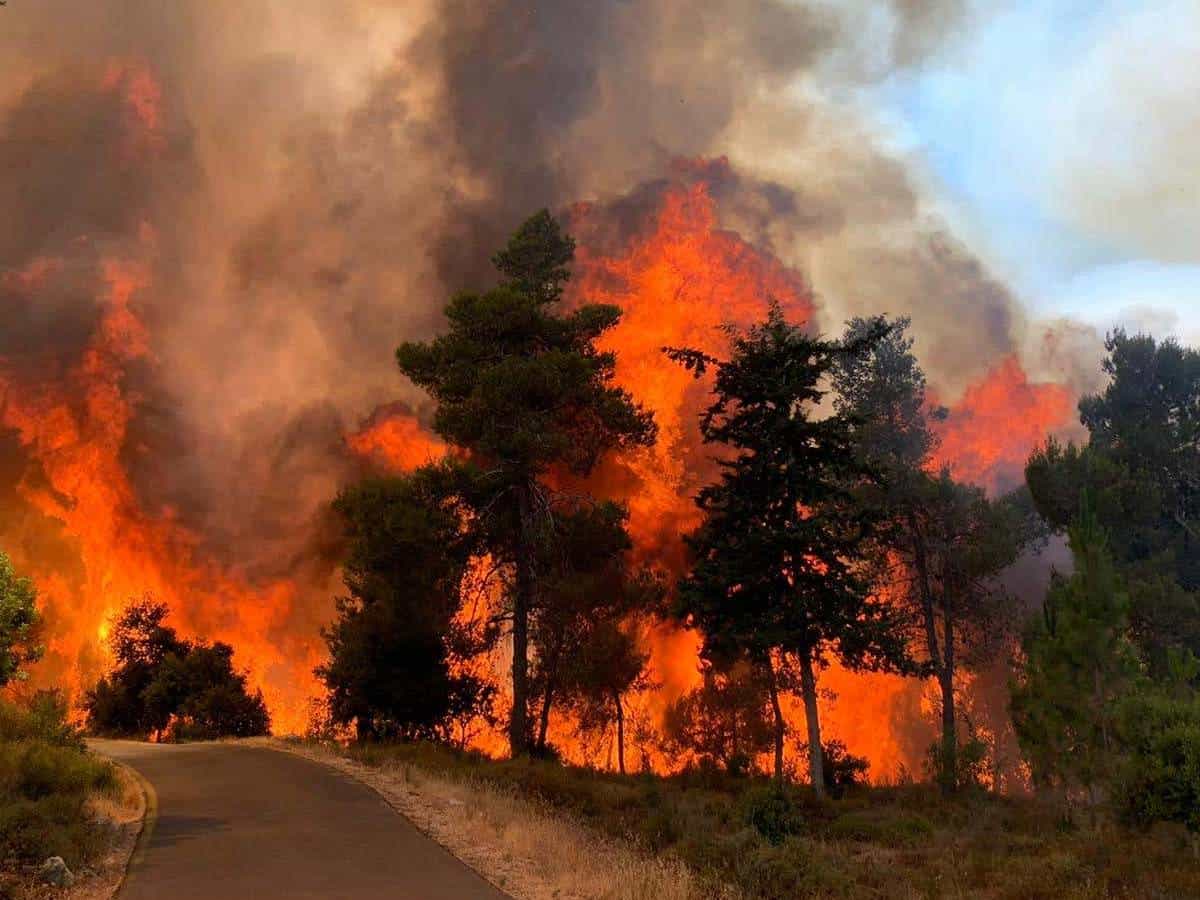 Thousands evacuated due to massive wildfire near Jerusalem