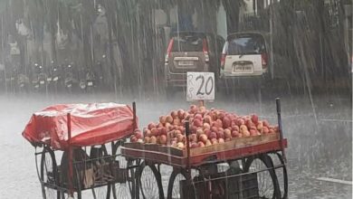 Hyderabad records up to 68.3 mm rainfall on Monday afternoon