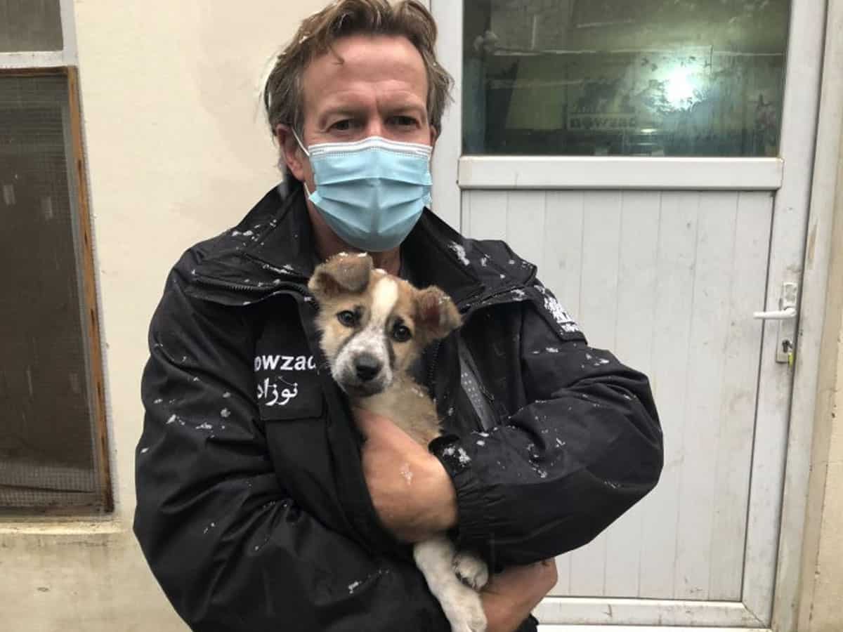 Ex-UK Marine leaves Kabul with dogs, cats but no local staff