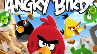 'Angry Birds' maker sued for violating child privacy