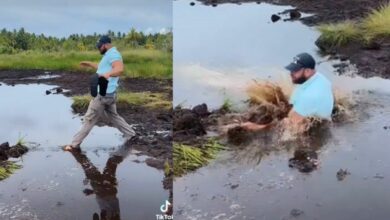 Tourist takes shortcut through muddy water; fails miserably (Video)
