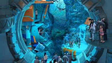 SeaWorld Abu Dhabi to feature the world's largest aquarium with more than 68,000 marine animals