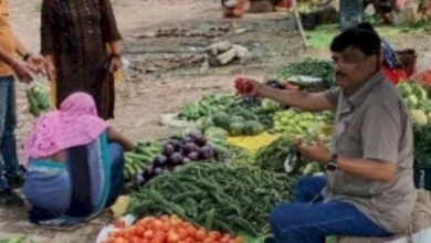 UP IAS officer's pic selling vegetables has no 'motives'