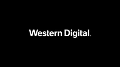 WD leads overall Internal SSD market in India in Q2