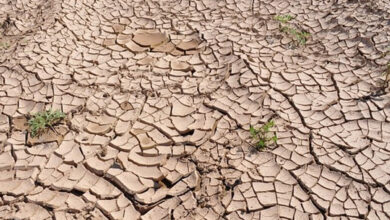 Over 1.51 million people affected due to drought in China
