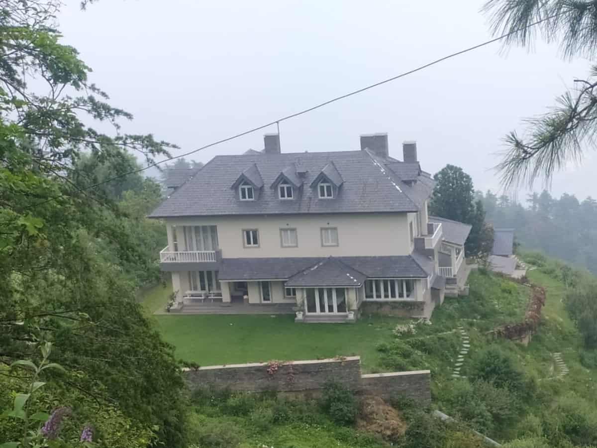 Gandhis