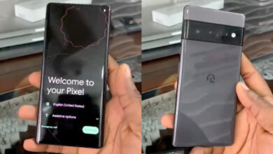 Pixel 6 Pro hands-on video surfaces online ahead of launch