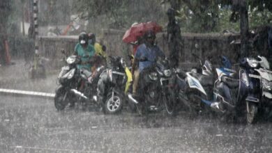 Heavy rains trigger floods in Telangana's Sircilla town