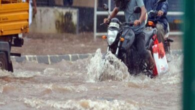 Heavy rains batter Telangana, road transport hit