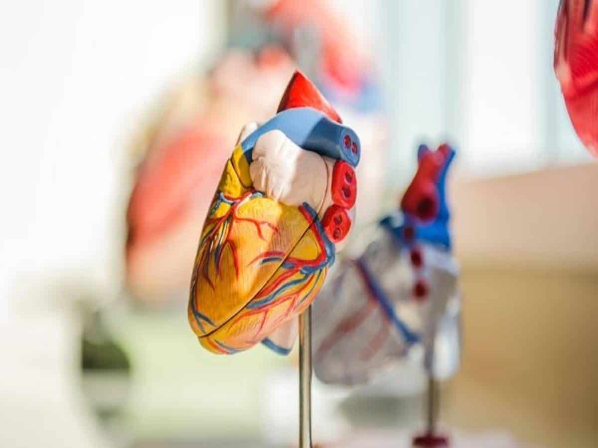 Are young Indians at a higher risk of heart disease?