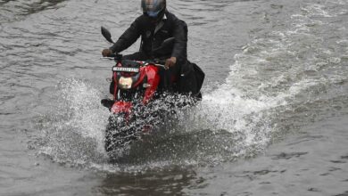 Heavy rainfall in Telangana claims 8 lives