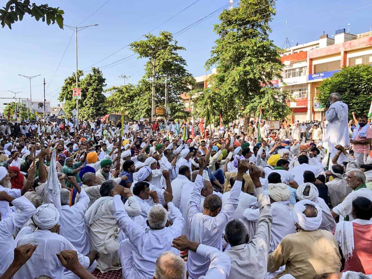 Farm laws: SC-appointed panel member says report 100% in favour of farmers
