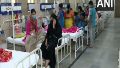 Telangana govt hospital records 40 dengue cases since Sept 1