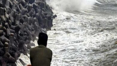 Coastal Andhra on alert as cyclone 'Gulab' set to make landfall