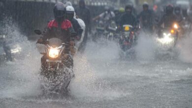 Telangana: Some districts to receive moderate thunderstorms