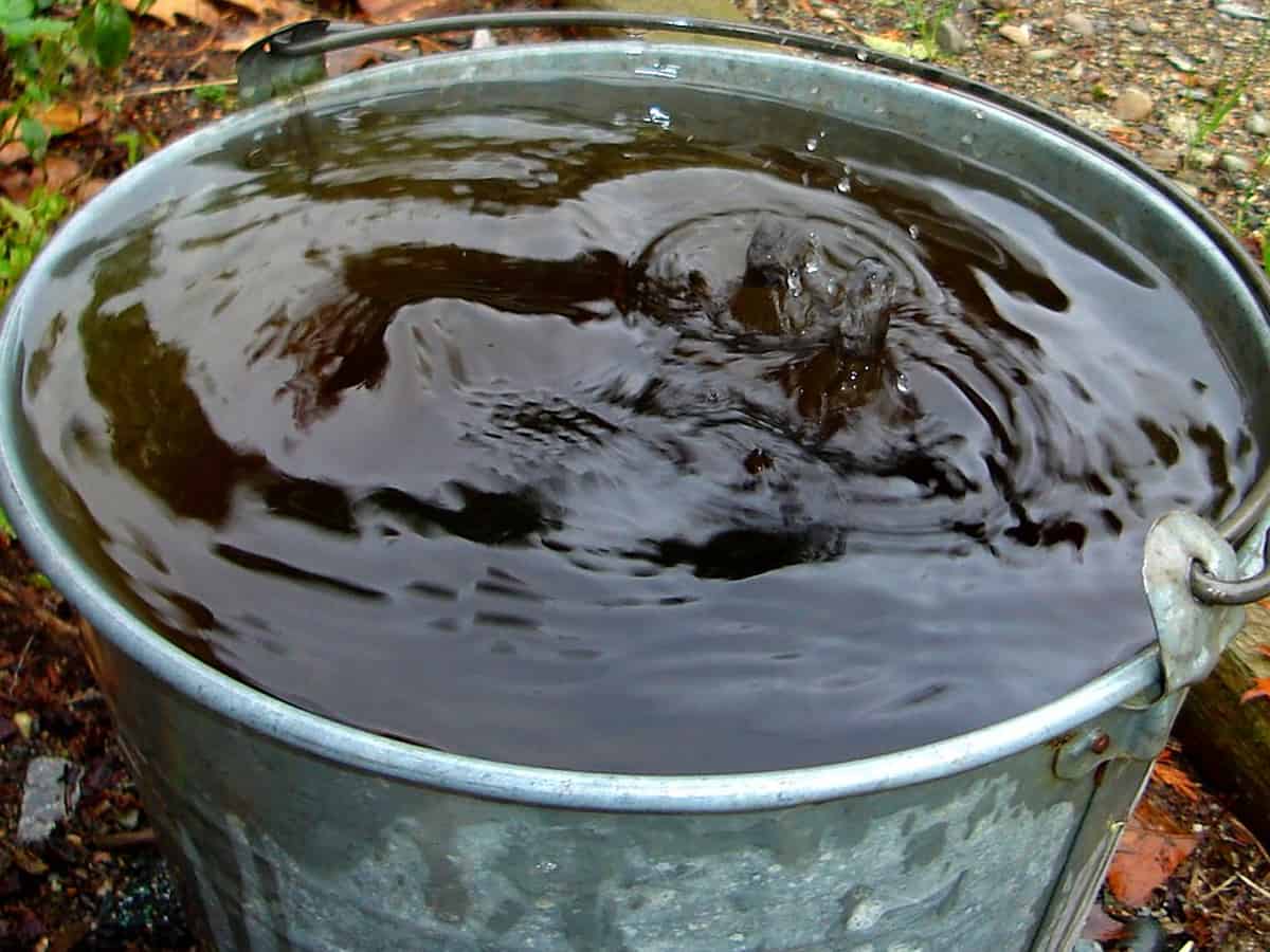 Maha: Toddler falls into bucket of water; dies