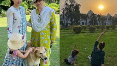 Inside Pataudi Palace's green-lush garden [Photos]