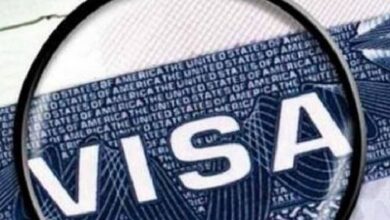 UAE launches 'green visas' for expatriates to work without being sponsored