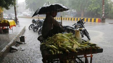 IMD predicts light to moderate rainfall for next 3-days in Telangana