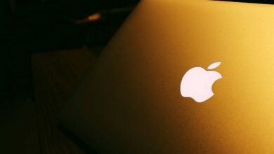 Apple fires leader of #AppleToo movement at workplace: Report