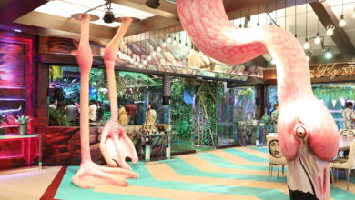 Giant flamingo stands out in jungle-themed 'Bigg Boss 15' house