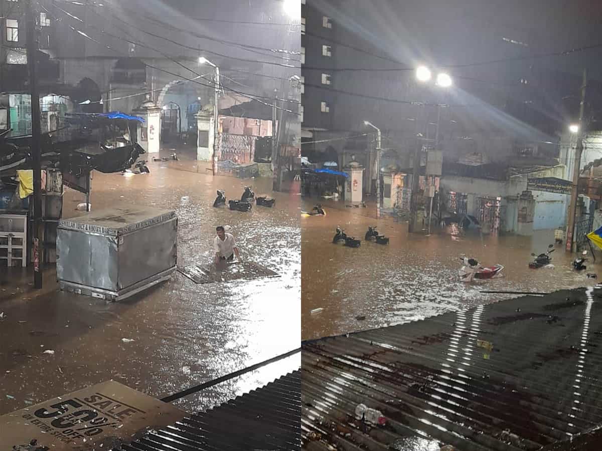 Hyderabad rains: birds washed away at Murghi Chowk