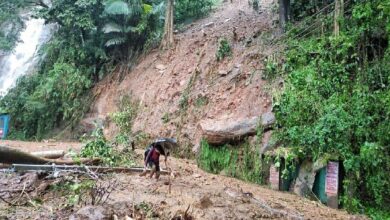 Kerala landslide toll rises to eight as search for those missing on