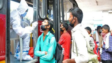 India logs 22,842 COVID-19 cases, 244 deaths in last 24 hours